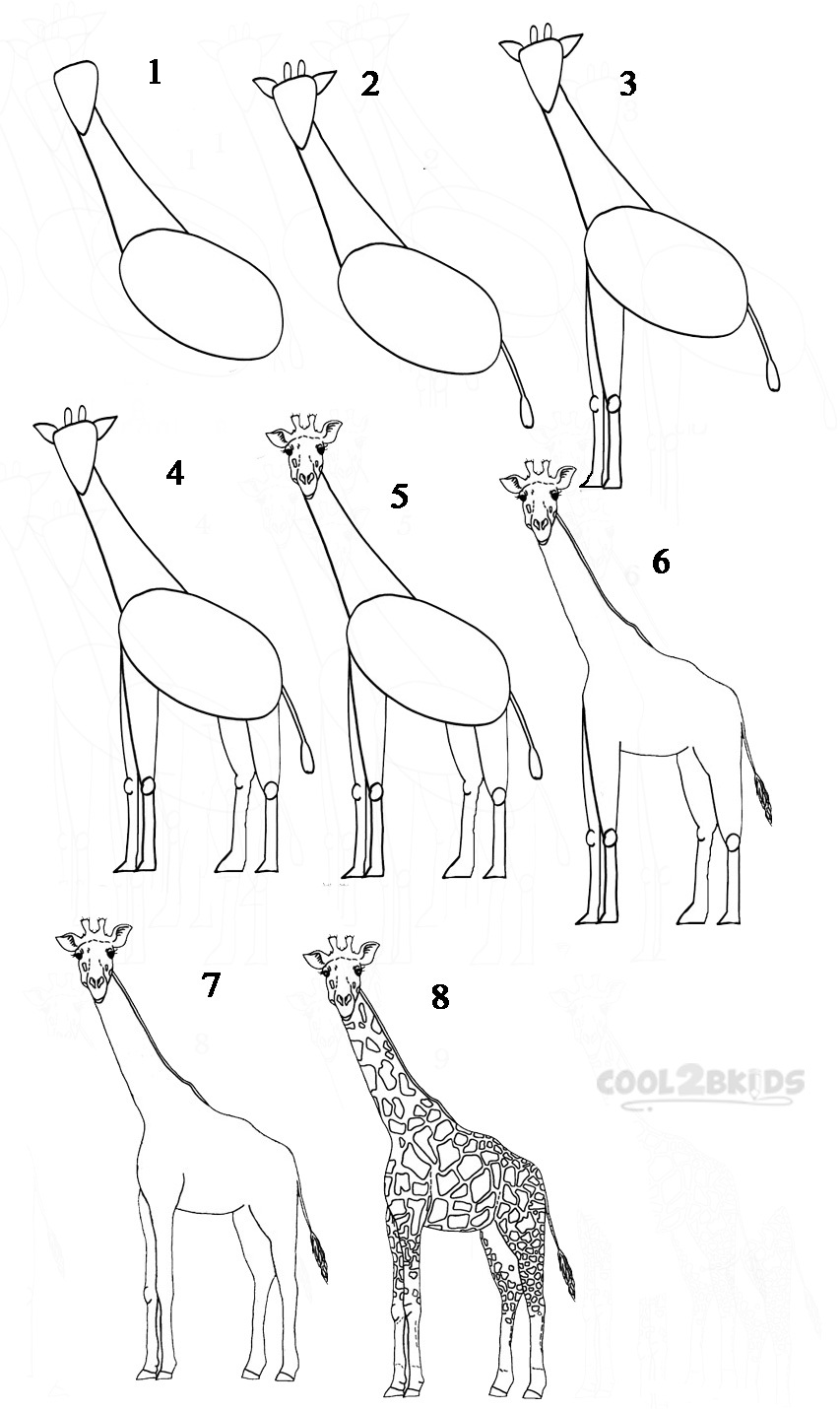 Giraffe Sketch How To Draw for Beginner