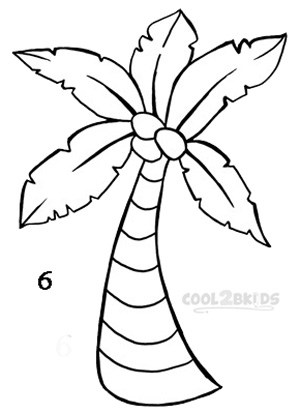 How To Draw a Palm Tree (Step by Step Pictures) | Cool2bKids