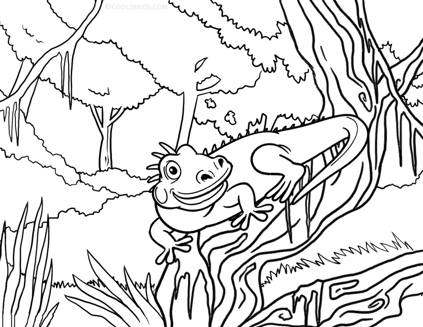 iguana coloring pages to print - photo #23