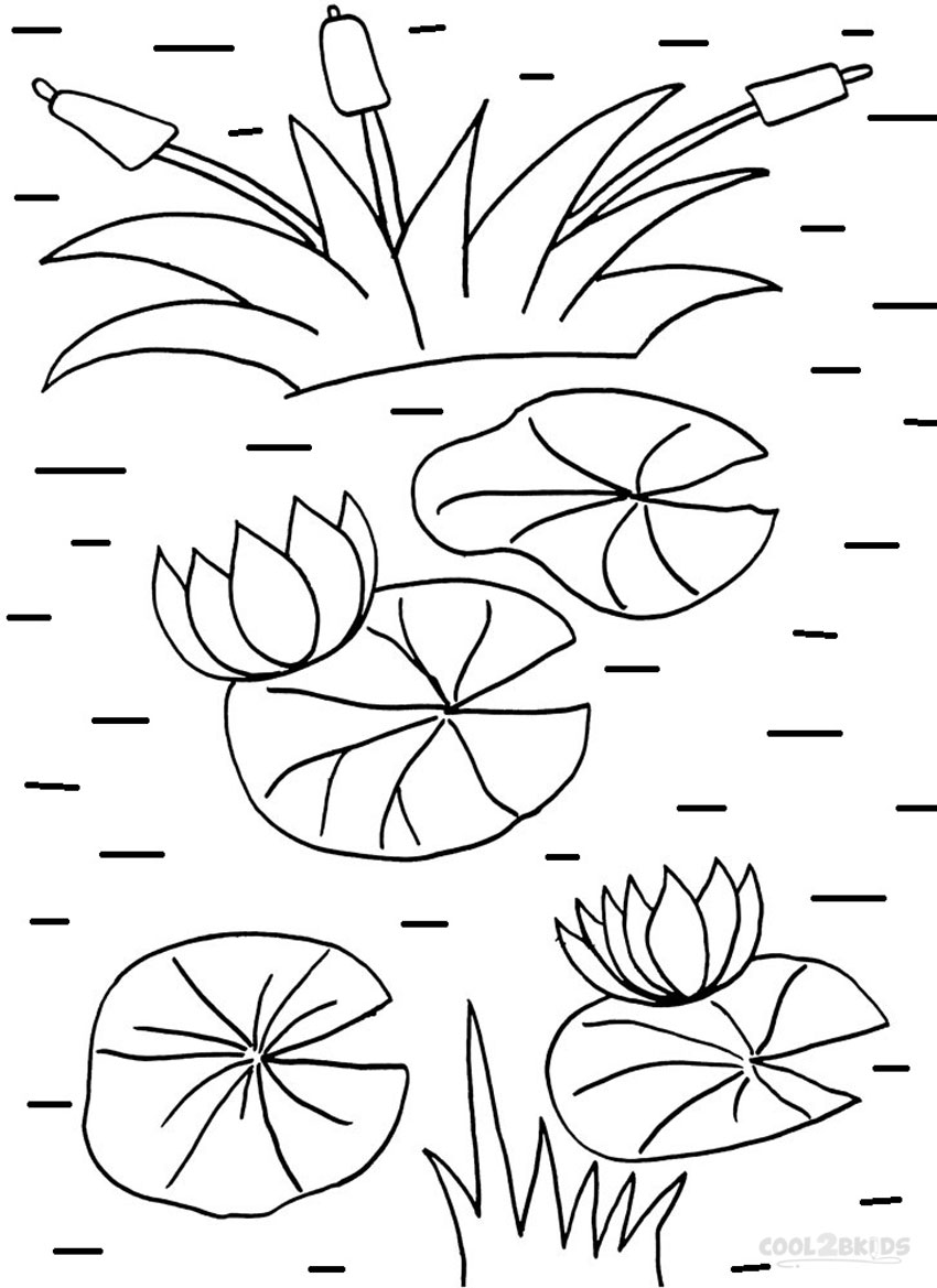 Printable Lily Pad Coloring Pages For Kids Cool2bKids
