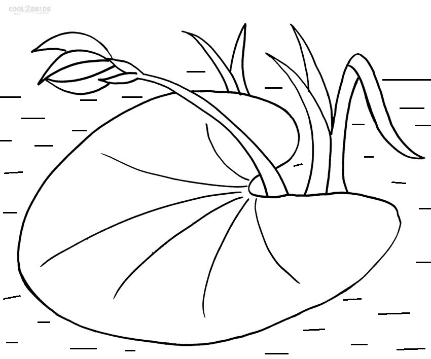 Printable Lily Pad Coloring Pages For Kids Cool2bKids