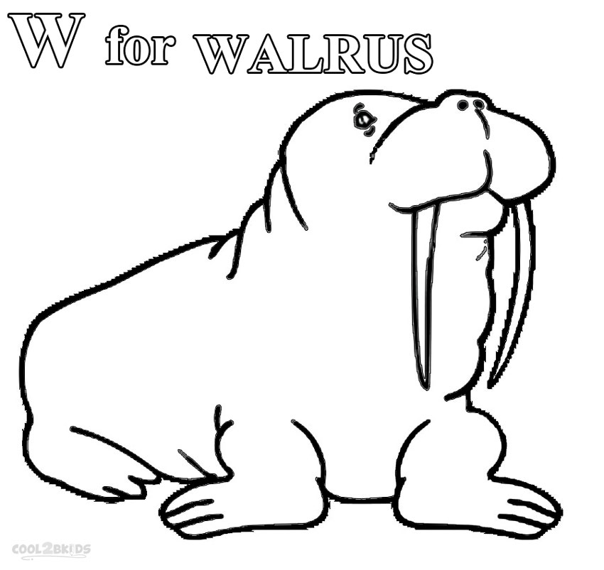 walrus coloring pages for kids - photo #15
