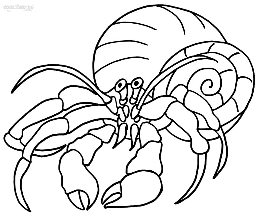 a home for hermit crab coloring pages - photo #12