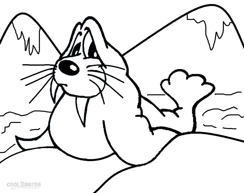 walrlus coloring pages - photo #22