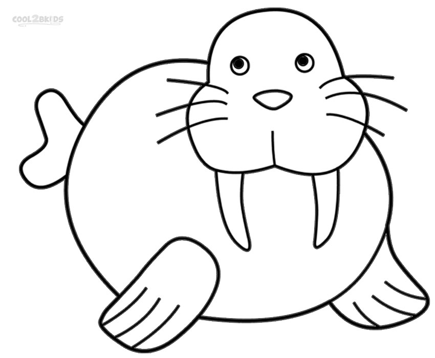 walrus coloring pages for kids - photo #1