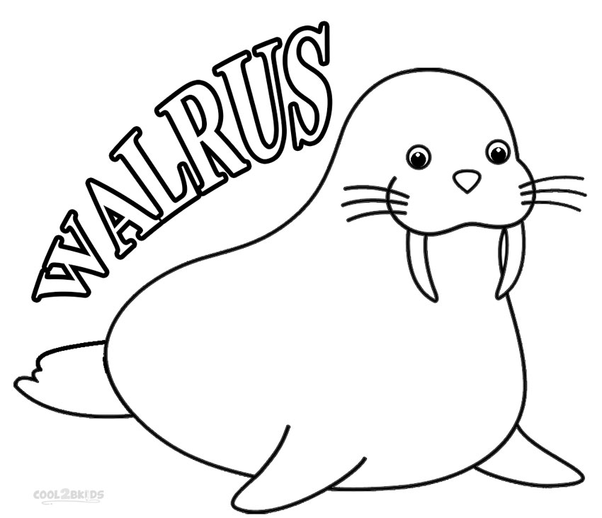 walrlus coloring pages - photo #2