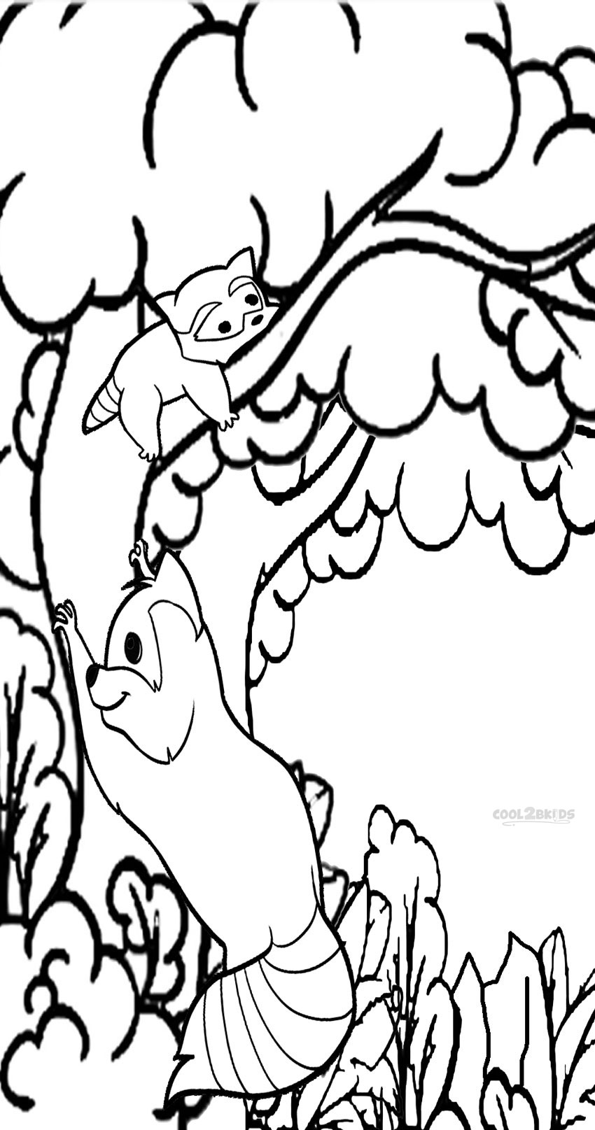 racoon in a tree coloring pages - photo #6