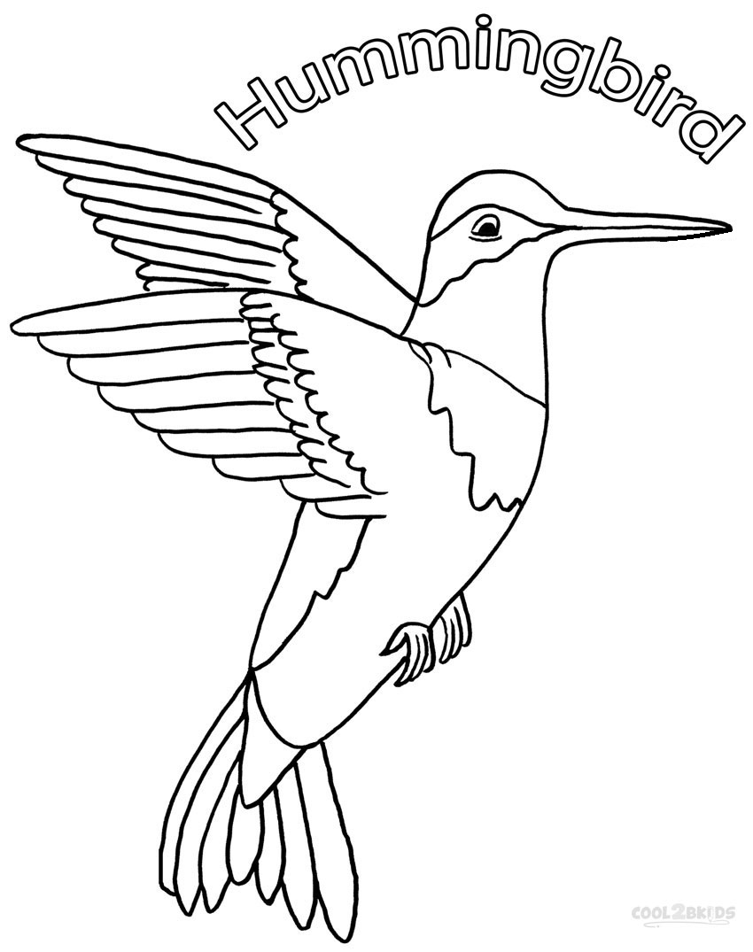 Printable Hummingbird Coloring Pages For Kids | Cool2bKids