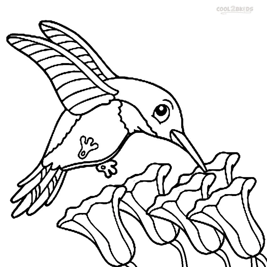 Printable Hummingbird Coloring Pages For Kids | Cool2bKids