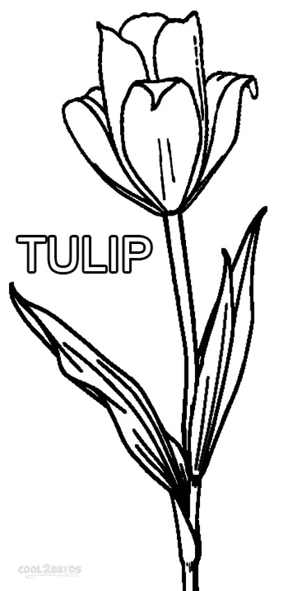coloring tulip sheets printable cool2bkids