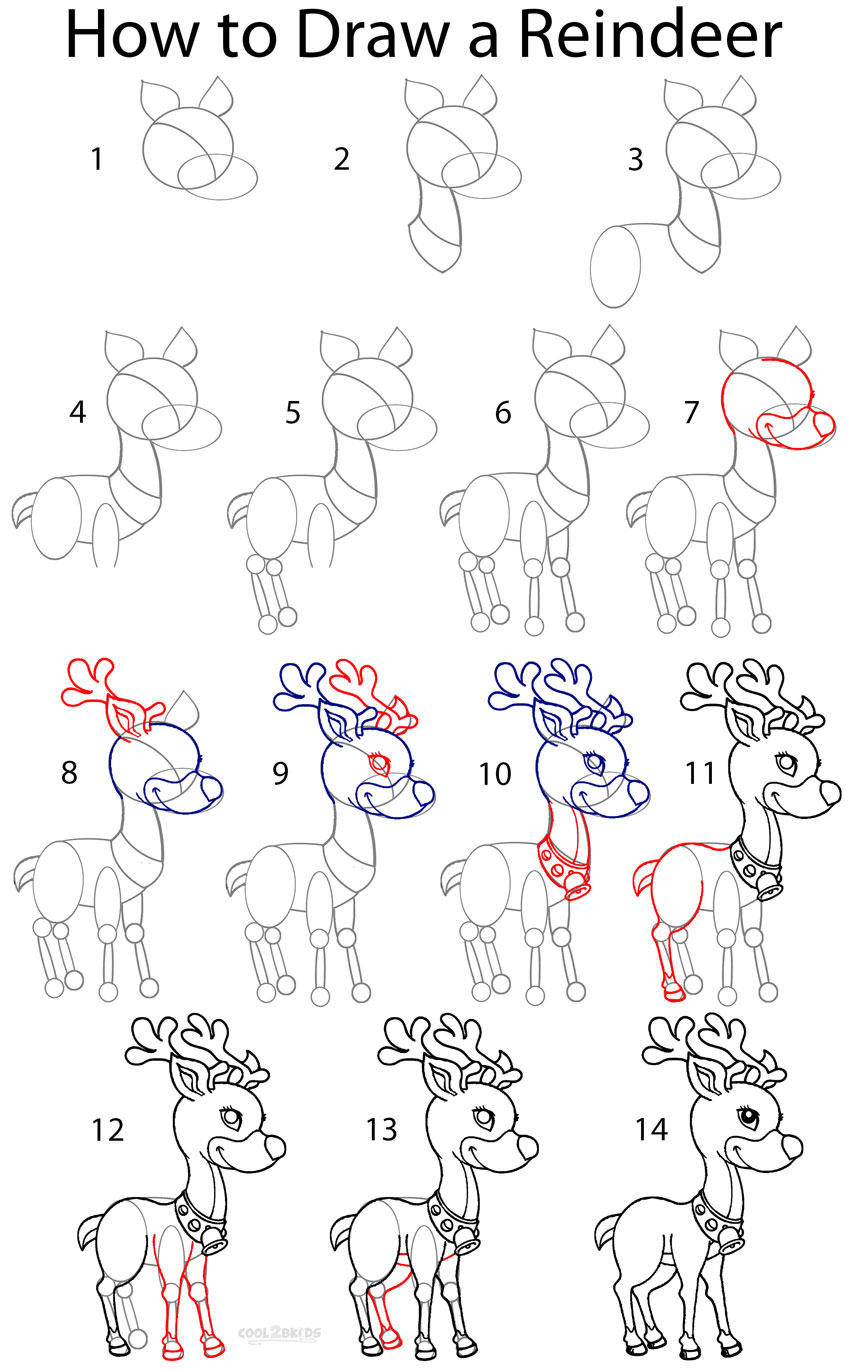 How to Draw a Reindeer (Step by Step Pictures) | Cool2bKids