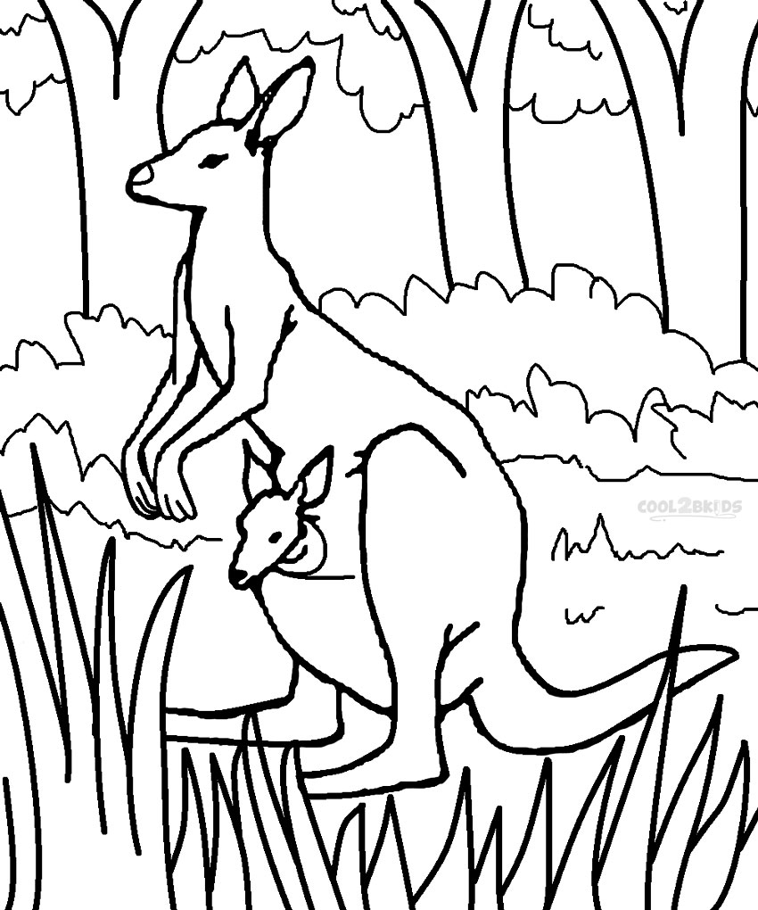 k is for kangaroo coloring pages - photo #44
