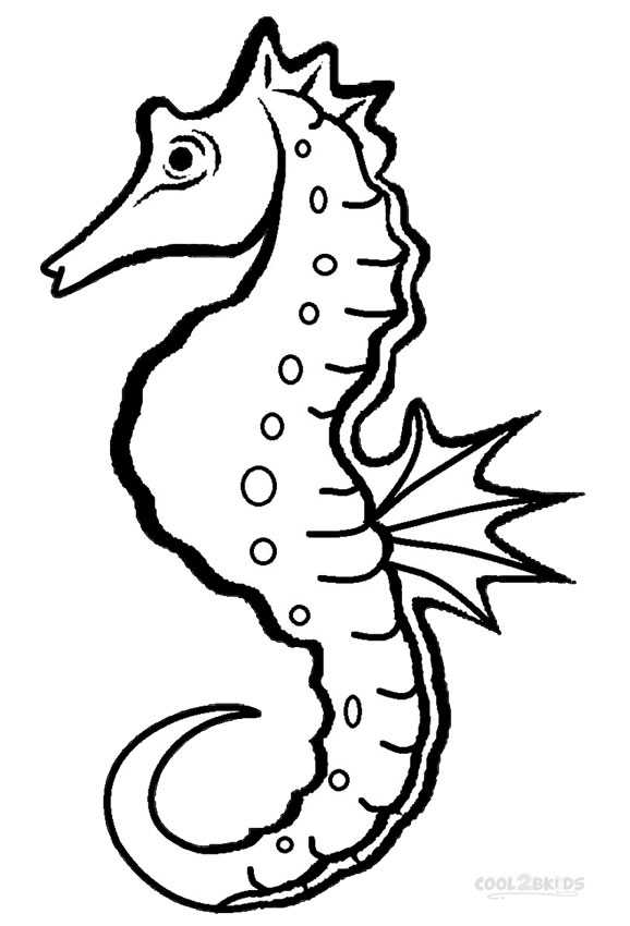Seahorse Coloring Pages - Kidsuki