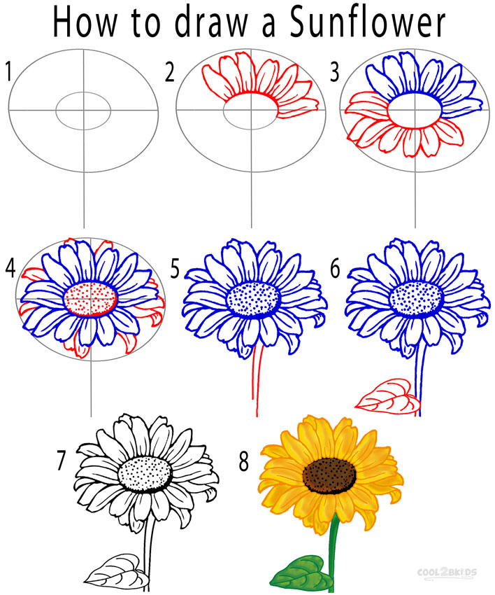 How to Draw a Sunflower (Step by Step Pictures) Cool2bKids