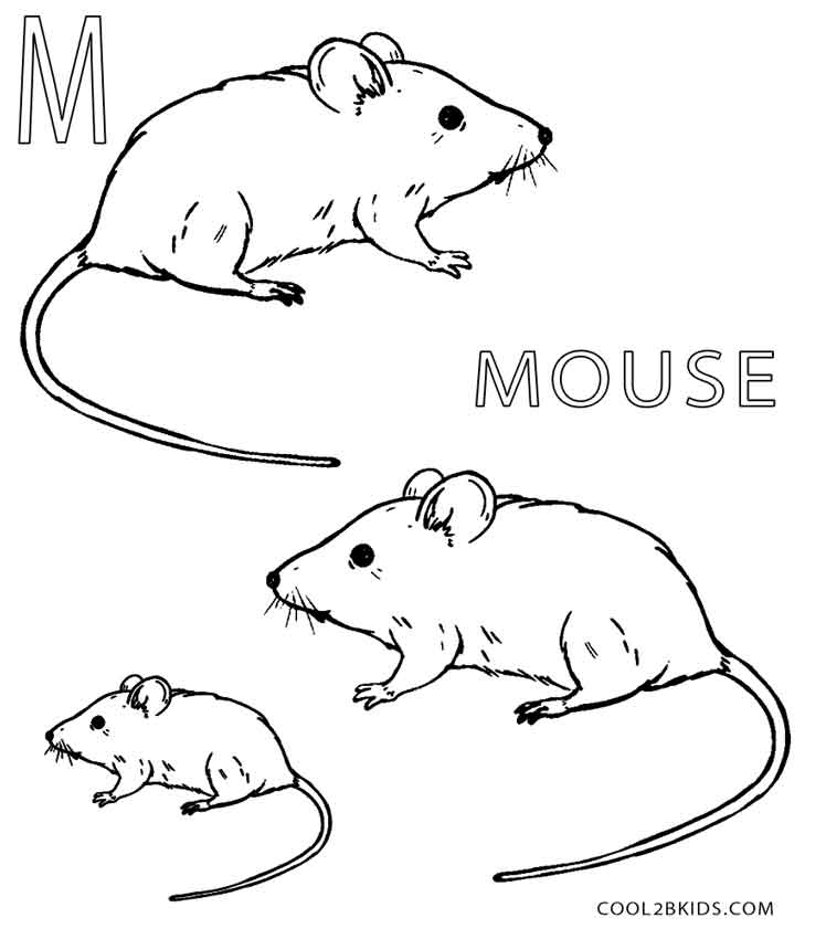 Mouse Coloring Pages