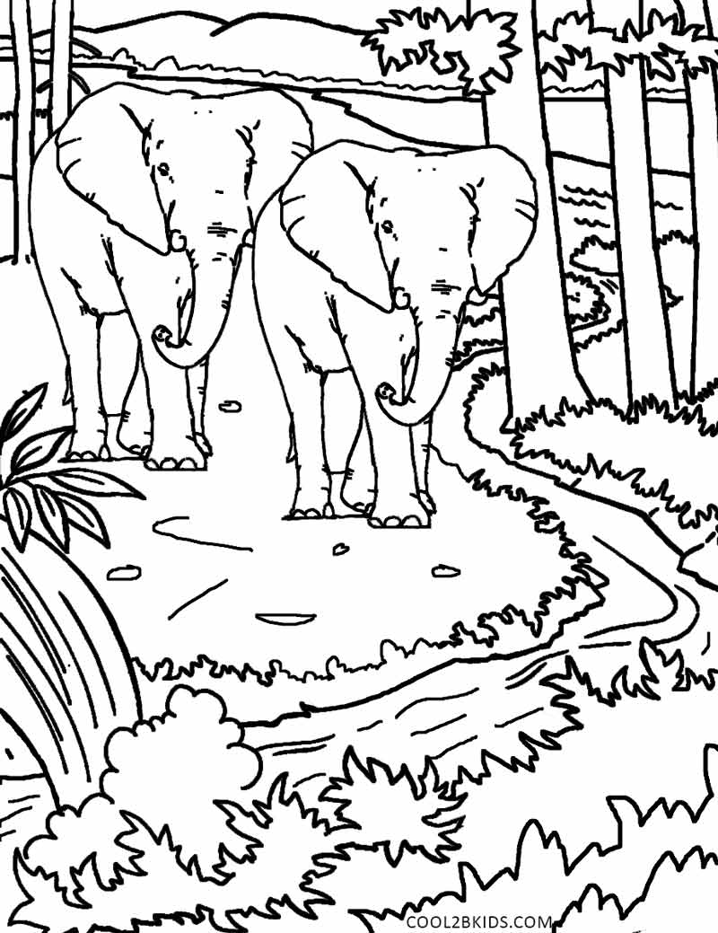 Printable Nature Coloring Pages For Kids | Cool2bKids