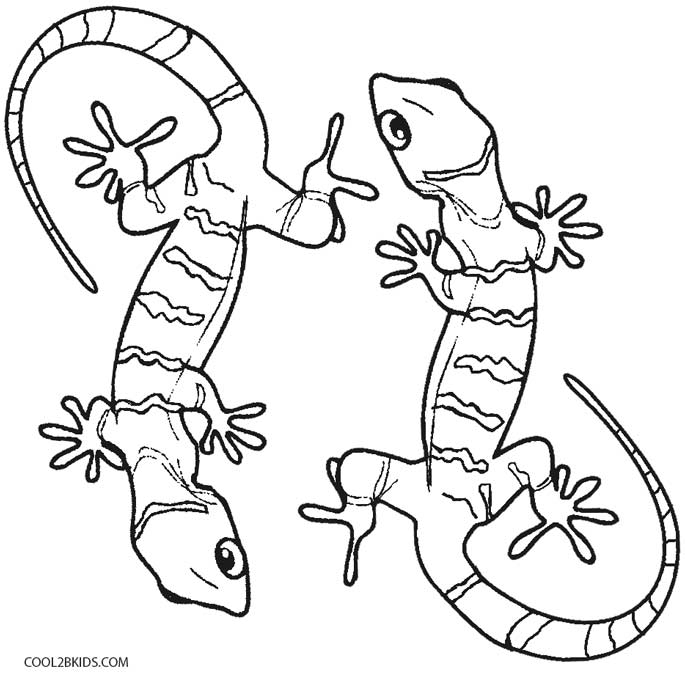 Gecko Lizard Coloring Page