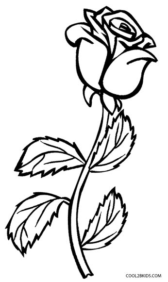 images of roses for coloring book pages - photo #9