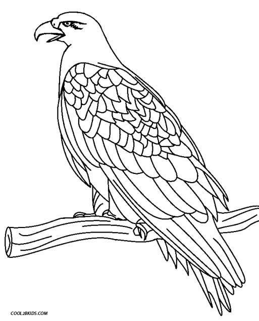 eagle coloring pages easy - photo #36