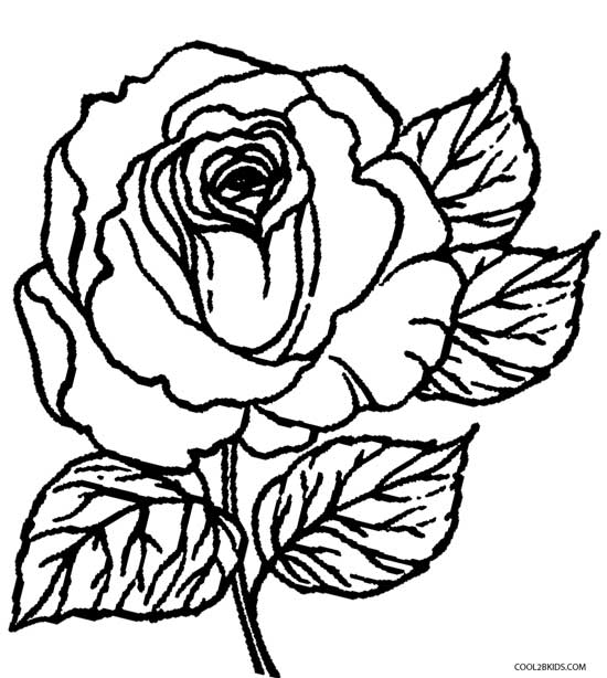 images of roses for coloring book pages - photo #22