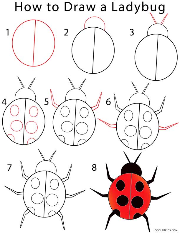 how to draw a ladybug step by step for kids