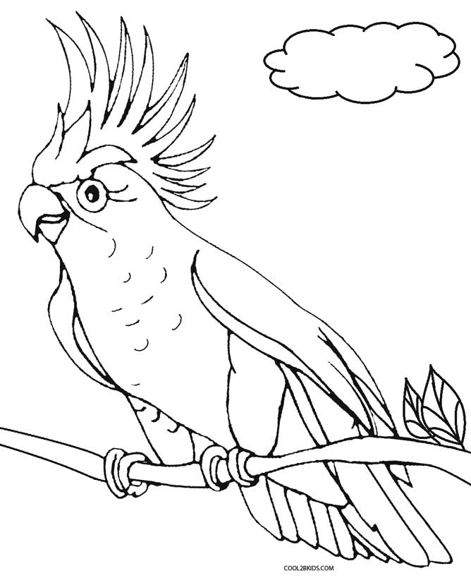 Printable Parrot Coloring Pages For Kids Cool2bKids