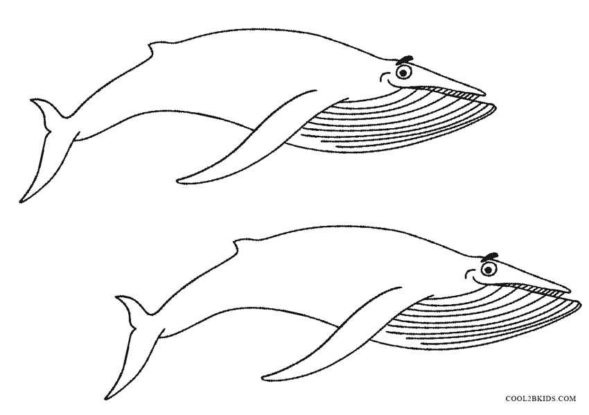 Printable Whale Coloring Pages For Kids | Cool2bKids