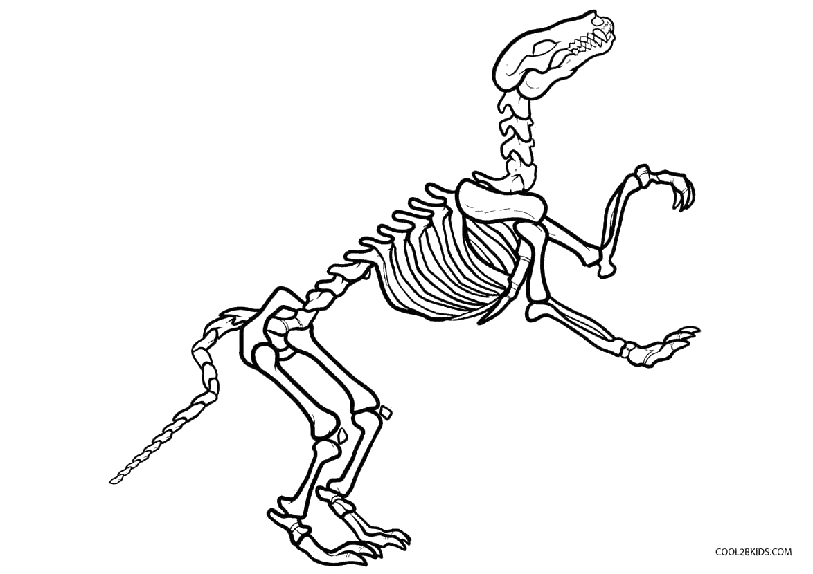 T Rex Skeleton Coloring Pages - Food Ideas