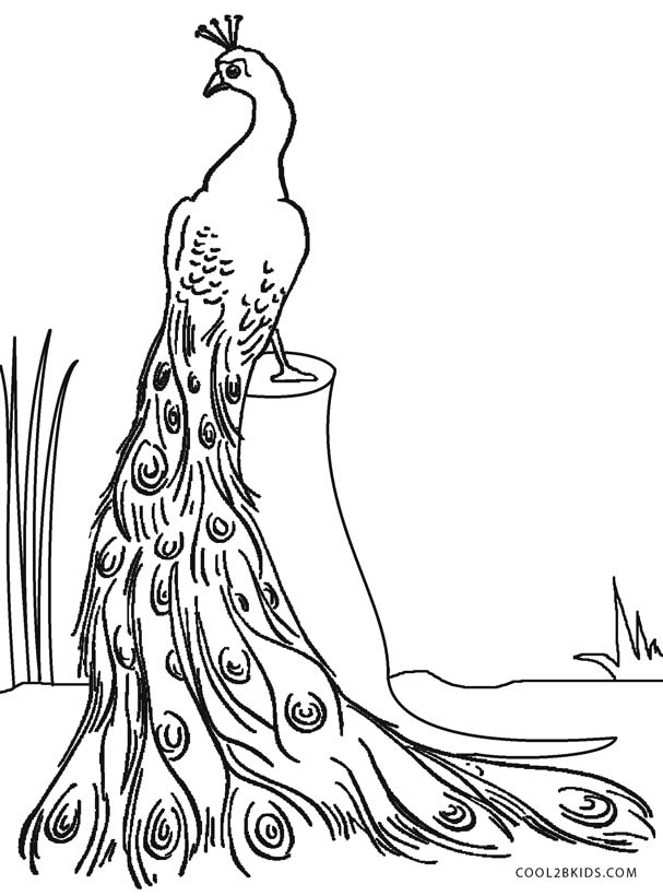 Printable Peacock Coloring Pages Kids Cool2bkids Peacocks Art Masterpieces