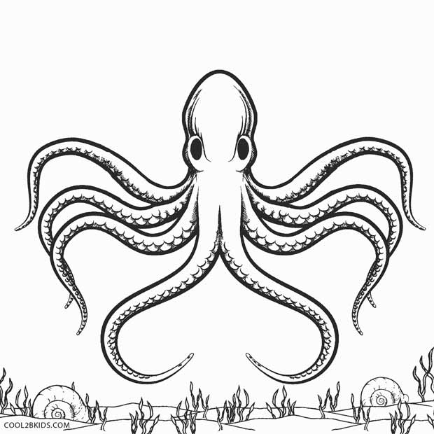 octopus coloring book pages - photo #32