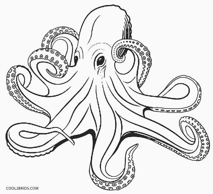 octopus coloring book pages - photo #9