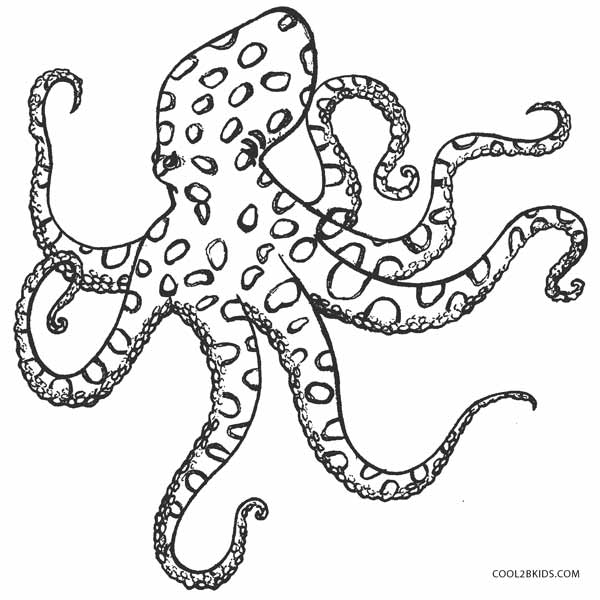 Printable Octopus Coloring Page For Kids | Cool2bKids