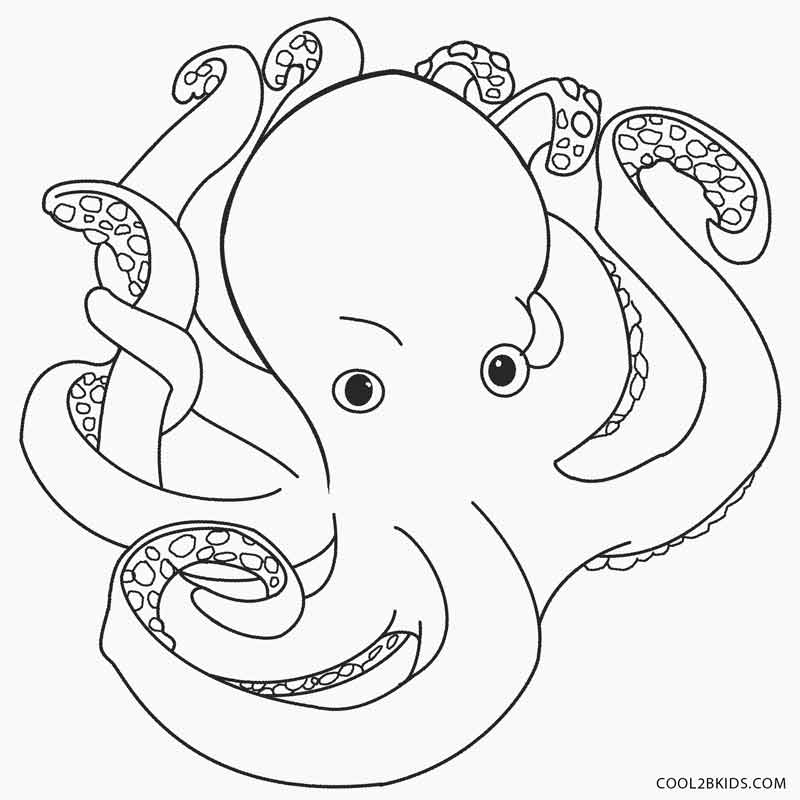 Printable Octopus Coloring Page For Kids   Cool2bKids