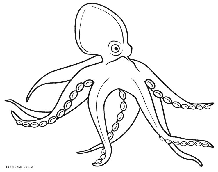 Printable Octopus Coloring Page For Kids | Cool2bKids