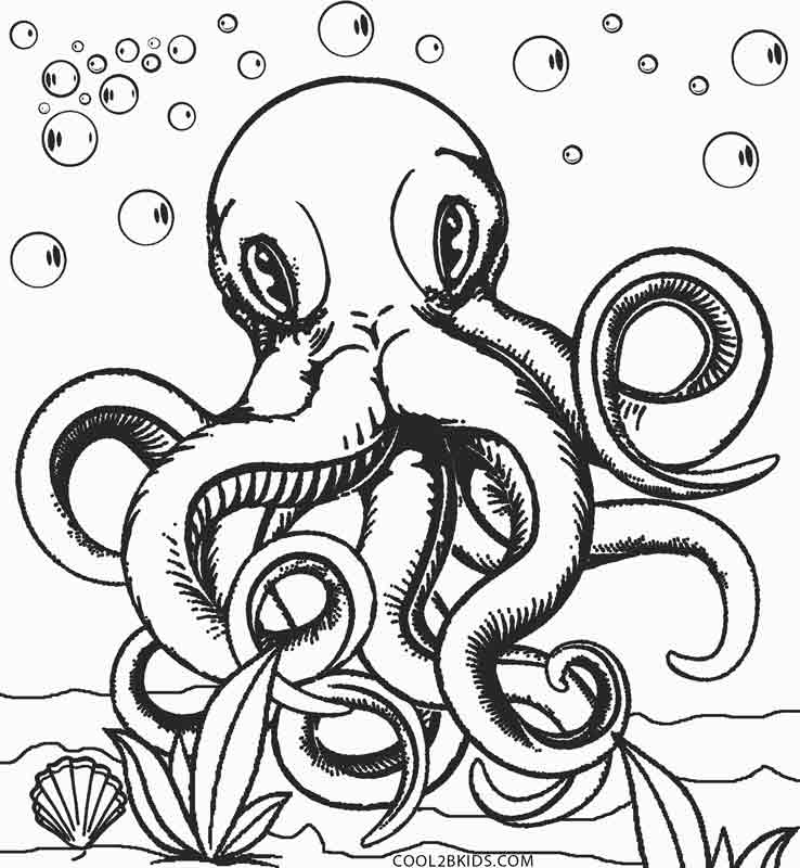 Printable Octopus Coloring Page For Kids   Cool2bKids