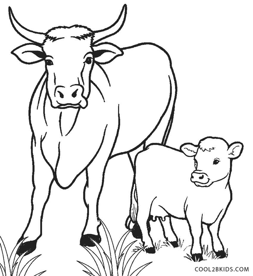 Free Printable Cow Coloring Pages For Kids | Cool2bKids