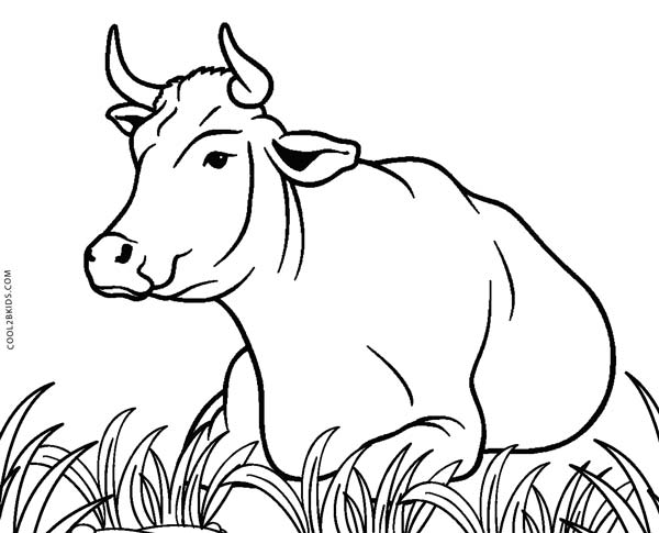 Free Printable Cow Coloring Pages For Kids | Cool2bKids