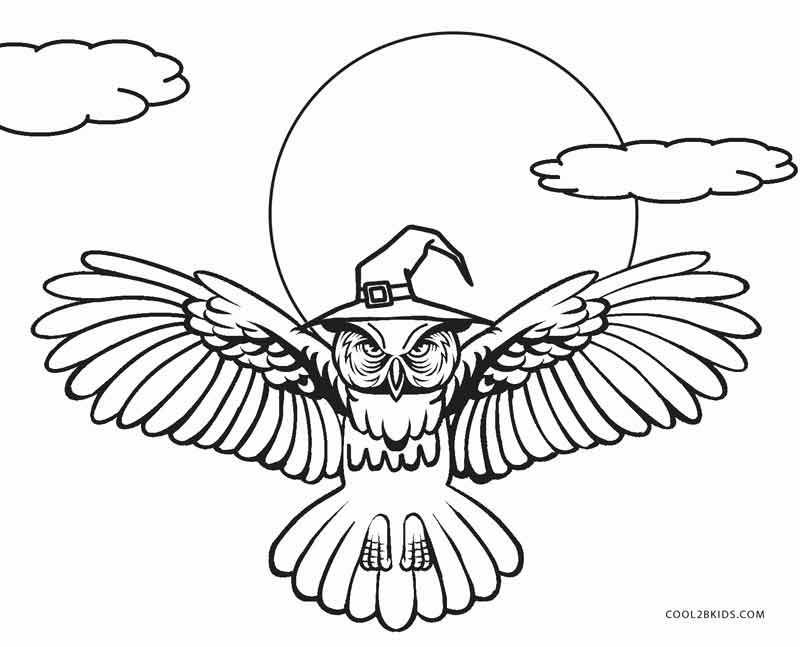 Free Printable Owl Coloring Pages For Kids | Cool2bKids