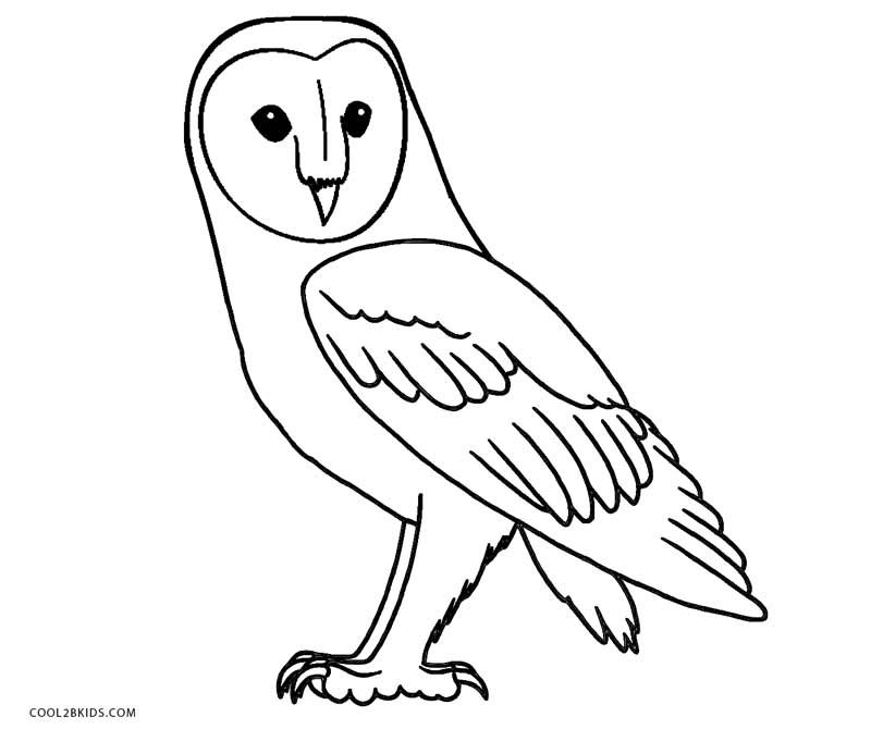 Free Printable Owl Coloring Pages For Kids | Cool2bKids