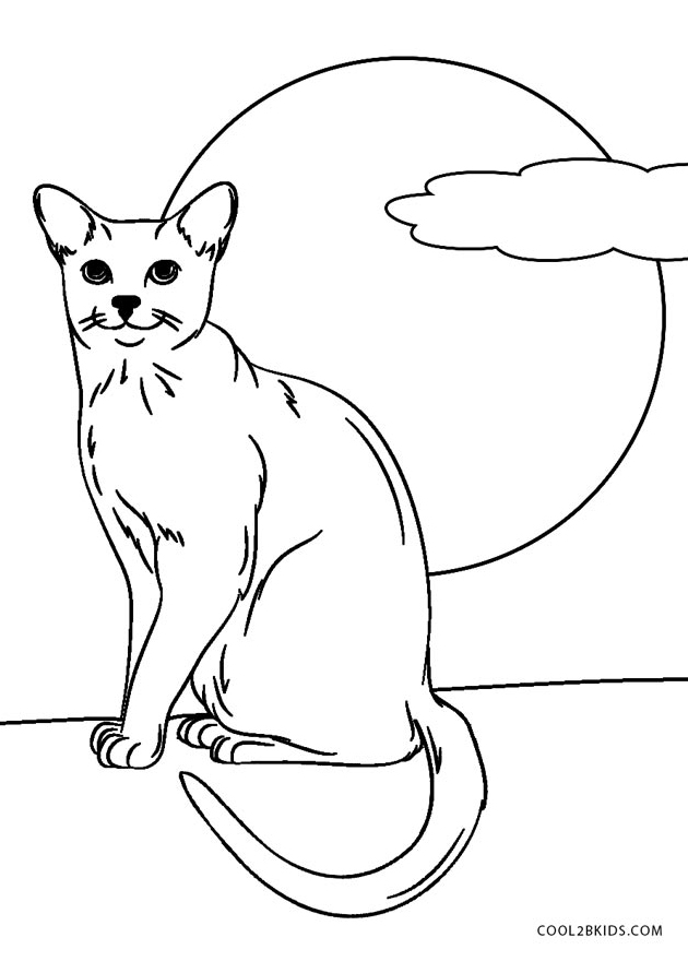 Free Printable Cat Coloring Pages For Kids | Cool2bKids