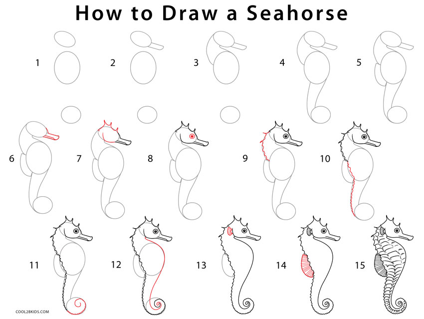 How to Draw a Seahorse (Step by Step Pictures) | Cool2bKids