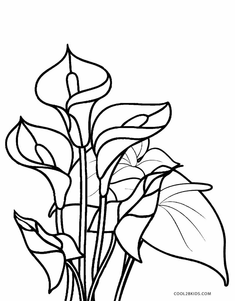 Free Printable Flower Coloring Pages For Kids Cool2bKids