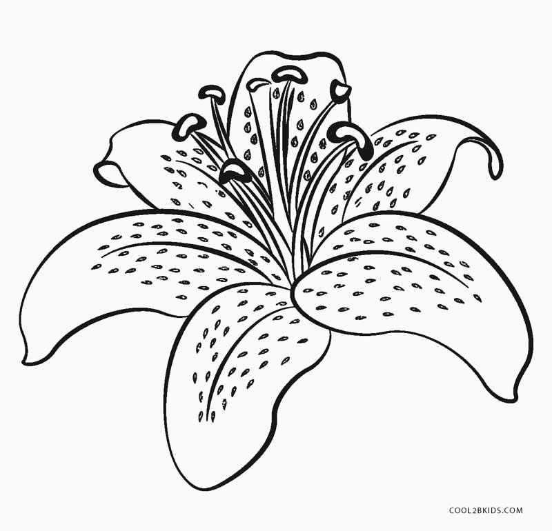 Flower Printable Coloring Pages Flower Coloring Printables For Kids 