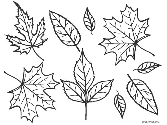 Fall Leaves Coloring Page – childrencoloring.us