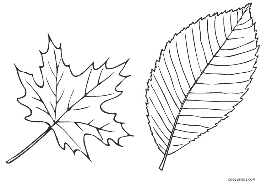 Free Printable Leaf Coloring Pages For Kids | Cool2bKids