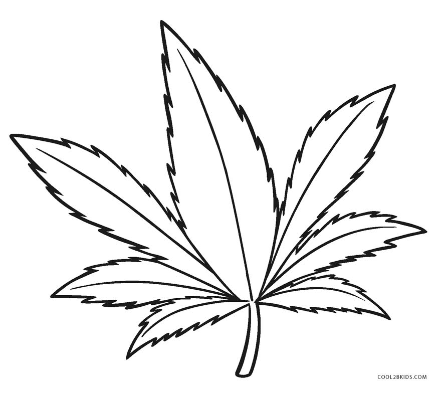 leaf coloring outline leaves printable cool2bkids marijuana colouring drawing