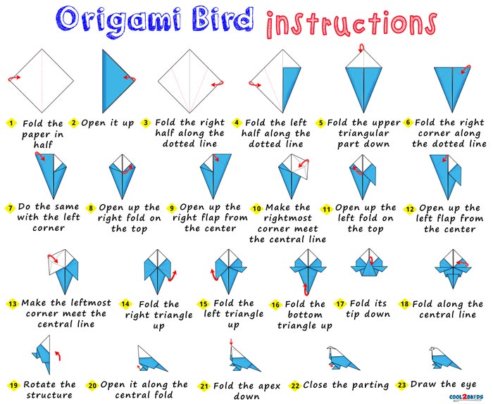 Step by Step Instructions for Making an Easy Origami Bird out of Paper Cool2bKids
