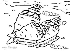 Seashell Coloring Pages