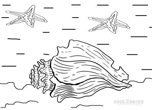 Seashell Coloring Pages For Kids