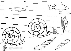 Seashell Coloring Pages Free Printable